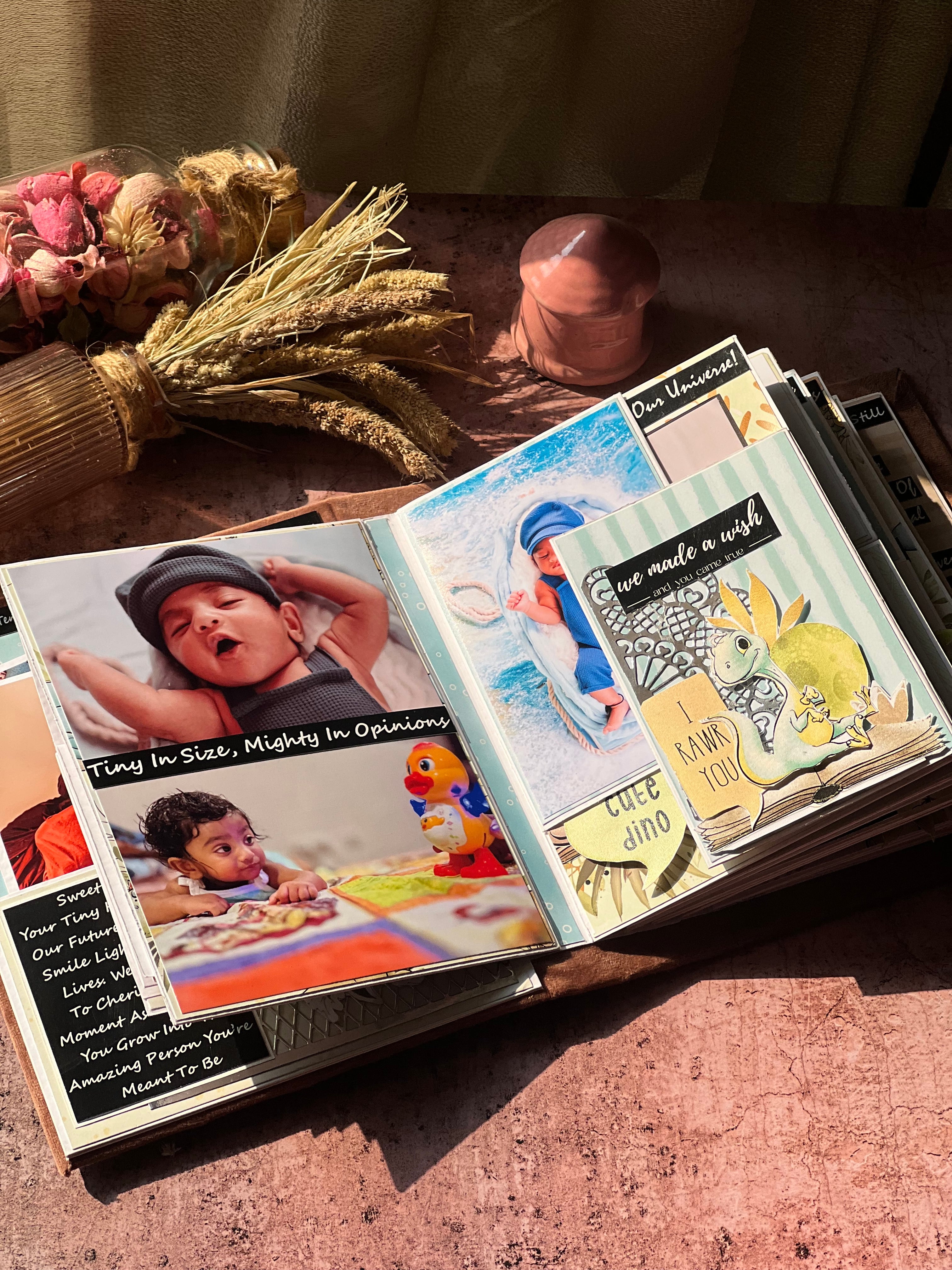 Dino Album Baby Album